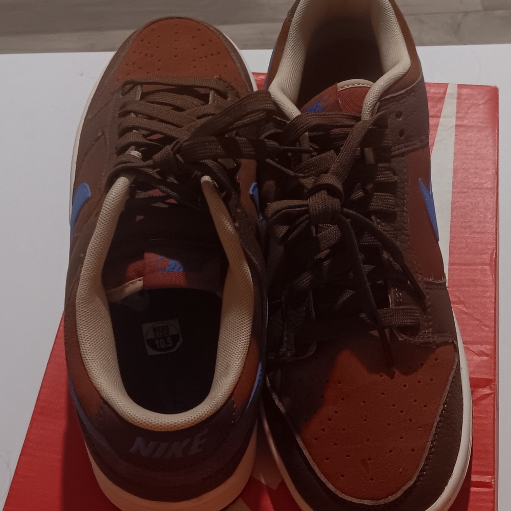 Nike dunks low tops men size 10.5